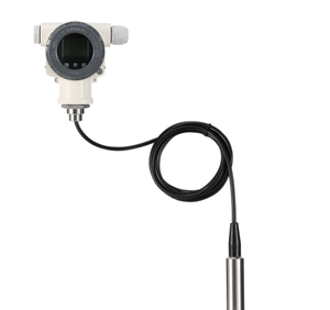 Hot Selling Tauch-Hydro statik-Füllstand anzeige Tauch-Füllstand sensor für Wassertank Kraftstoff tank - Product Image 2