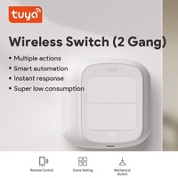 Interrupteur de Scène Tuya WiFi Zigbee 2 Gang, Bouton Intelligent Sans Fil à Télécommande via APP, Adhésif pour Fixation N'importe Où