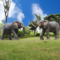 Statue d'éléphant personnalisée en fibre de verre, sculpture d'éléphant animal de la jungle pour location d'accessoires d'événements et de fêtes d'anniversaire
