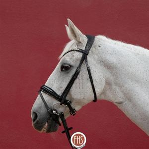 Brida de charol Croc anatómica de alta calidad Clear Wave Brow-Band y agarre lateral para carreras ecuestres, deportes de equitación - Product Image 2