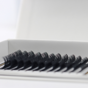 Volume <span class=keywords><strong>Master</strong></span> 0.05 <span class=keywords><strong>Extensiones</strong></span> de Pestañas Super Finas Premade Fans Mega Bloom Tray 10D 14mm Suministro Profesional para Artistas de Pestañas Avanzados - Product Image 3