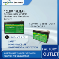 Banque d'alimentation durable 12.8V 10.8Ah IP65 étanche batterie au lithium-ion LiFePO4 pour la mobilité des scooters électriques de stockage d'énergie