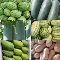 Commerciële elektrische fruit- en groenteschilmachine