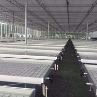 2026 Système hydroponique de table de culture à flux et reflux avec banc roulant pour serre, Fourniture d'usine