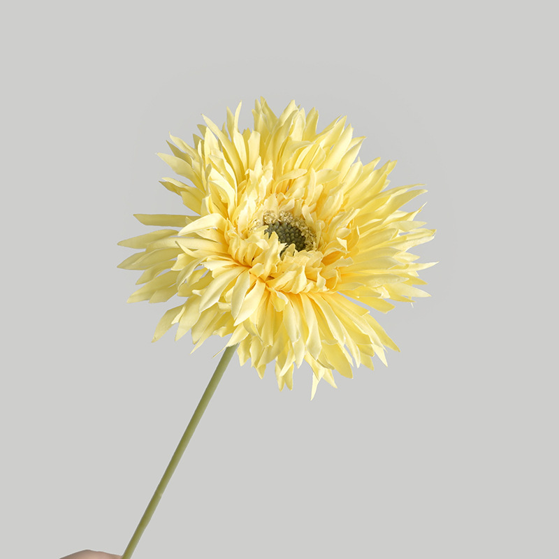 2-jaune dkyellow
