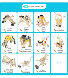 Kit DIY de Alto-falante de Gato de Madeira Tscinbuny, Eletrônicos Educacionais Alimentados por USB para Crianças, Projetos Personalizados e de Montagem para Aprendizado STEM - Product Image 3