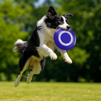 Disque volant pour chien TPE bleu, 230 mm, moderne et classique, jouet interactif pour chien, pour l'extérieur