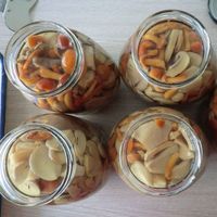 Assortiment de Champignons en Conserve de Qualité Supérieure, Variétés Mixtes, Présentés dans l'Eau, Champignons Comestibles Nutritifs, Légumes Conservés pour la Restauration