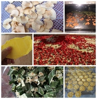 96 Trays Voedsel Dehydrator Fruit Groente Droger Industriële Fruit Dehydrator Machine Vlees Drogen Chili Dehydrator Fruit Droger