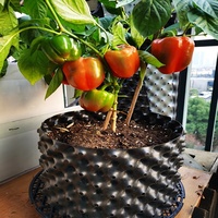 Plastique HDPE 8 Gal. Pot de culture pour plantes de pépinière à racines auto-élaguantes, à croissance rapide et à contrôle aérien