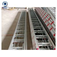 Échelle prime en aluminium, toit télescopique en plastique en acier Commercial, échelle pliante en aluminium personnalisée
