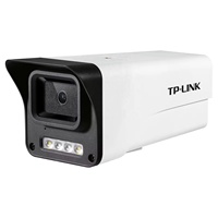 Cámara de Seguridad Exterior TP-LINK 4K con Detección de Movimiento por IA, Visión Nocturna, Cámara PoE de 4MP