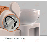 Fauteuil de Lavage Électrique Inclinable pour Salon de Coiffure Thai Head Hair Spa avec Massage et Lit de Shampooing