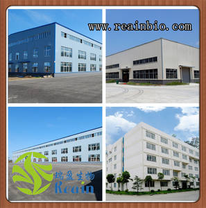 Monnik Fruit Extract Groothandel 80% Mogroside Bulk Biologische Zoetstof Poeder Monnik Fruit Extract - Product Image 6