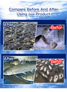 चीन निर्माता के पशु फ़ीड ग्रेड योजक विरोधी तनाव क्षरण हानिकारक पदार्थ मछली झींगा क्रैब फ़ीड पाउडर - Product Image 5