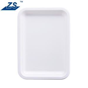 Plato de Pulpa de Bagazo Desechable de Diseño Moderno y Alta Resistencia, 100% Compostable y Biodegradable para Restaurantes - Product Image 5