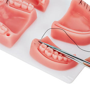 Molde de Práctica de Sutura de Silicona para Entrenamiento en Cirugía Oral, Varios Tipos de Heridas Gingivales (Módulo de Cuatro Dientes) para Estudiantes de Medicina - Product Image 5