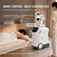 Robot de moxibustion ZCH avec secouage automatique des cendres et boîte à moxa amovible pour un nettoyage quotidien facile dans les spas et salons commerciaux
