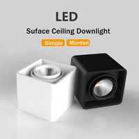 Éclairage intérieur 5W 10W 20W 30W Plafonnier encastré noir blanc à tête simple ou double LED