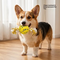 Jouet à mâcher pour chien ETPU, balle solide hautement élastique avec nœud, flottante, résistante à l'eau, jouet interactif pour chien Teddy