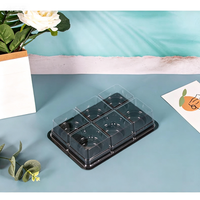 Boîte en plastique transparente sur mesure YASHENG W335 pour 6 gâteaux de riz glutineux, petits pains verts, gâteaux de lune, Xue Mian Niang