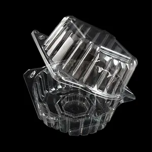 Hot Sell PET Plastic Clear Vegetables Packing Container Supermarket Packaging Clear Box