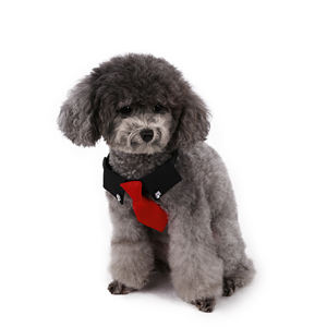 2025 köpek İngiliz tarzı düğün siyah yaka + kırmızı kravat köpek kostüm - Product Image 4