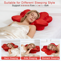 Oreiller de sommeil papillon respirant et rafraîchissant, avec housse lavable en machine, pour usage domestique et hôtelier, OEM ODM