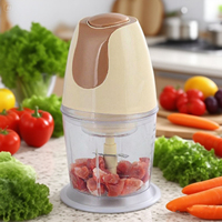 Mini hachoir électrique, hachoir à viande, machine à piler le Fufu, coupe-légumes, appareil de cuisine domestique, moteur en cuivre pur 300W
