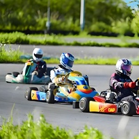 Go Kart de Carreras a Gasolina para Adultos, Diseño de Última Generación, Alta Velocidad, Calidad Premium, para Uso en Interiores y Exteriores, en Venta
