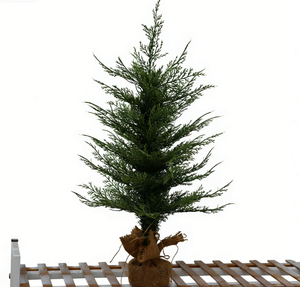 Nouvel Arbre <span class=keywords><strong>de</strong></span> <span class=keywords><strong>Noël</strong></span> <span class=keywords><strong>Artificiel</strong></span> Haut <span class=keywords><strong>de</strong></span> Gamme Écologique Personnalisé avec Fleurs Naturelles Préservées 5m Grand Modèle - Product Image 2