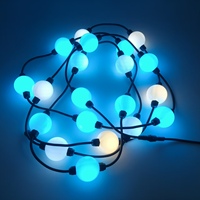 Guirlandes lumineuses LED étanches IP68 35mm 50mm 24V, ampoules LED en forme de boule de Noël pour la décoration de jardins, bâtiments et fêtes (vente en gros)