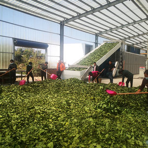 Guoxin <span class=keywords><strong>agaric</strong></span> סופג לחות מייבש/ירקות ופירות ייבוש רשת חגורת מייבש מכונת/עגבניות סופג לחות רשת חגורת מייבש מכונה - Product Image 3