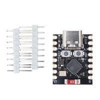 Papan Pengembangan ESP32-C3 ESP32 C3 SuperMini WiFi Bluetooth untuk Arduino