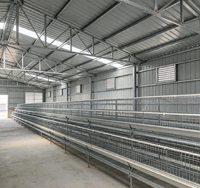 Poulailler Moderne en Acier Durable pour l'Élevage de Poulets de Chair à Grande Échelle avec Ventilation Efficace