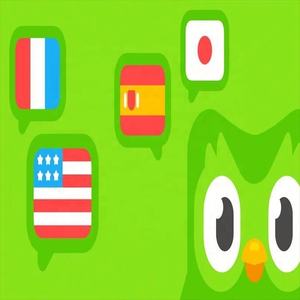 Cuenta Premium de Duolingo Pro, 1 Año, Aplicable Globalmente, Activa Tu Propia Cuenta - Product Image 4