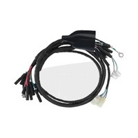 Harnais de câblage imperméable de haute qualité personnalisé pour moto TRX200 TRX200SX 1986-1988 OEM 32100-HB3-000 Électronique