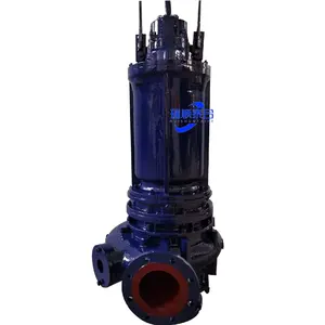 Factory Selling 4 Inch 3 Hp Submersible Water Pump Using Water Raw Sewage Pump For Dirty