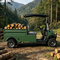 Voiture de golf électrique tout-terrain Rainbow 72V certifiée CE, freins à disque, 2 places personnalisées avec benne arrière hydraulique, autonomie 70-90 km