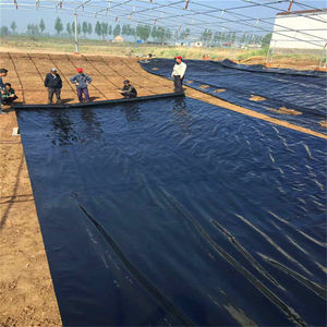 केन्या/टांजनिया/दक्षिण अफ्रीका/गंडा hdpe प्लास्टिक झिल्ली 0.5 मिमी 0.75 मिमी 1 मिमी जलरोधक 500 माइक्रोन बांध तालाब लाइनर - Product Image 6