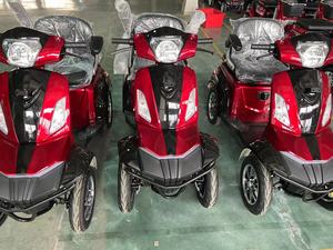 สกู๊ตเตอร์ไฟฟ้าสำหรับผู้สูงอายุ EU Skilled Technology Design T4P-1 รุ่นสำหรับกิจกรรมกลางแจ้ง 4 ล้อ 60 โวลต์ ดีไซน์ทันสมัยสำหรับผู้สูงวัย - Product Image 3