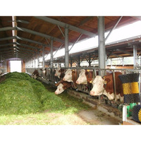 Edificio de Granja de Estructura de Acero Grande para la Cría de Cabras, Vacas y Cerdos con Garantía de 5 Años
