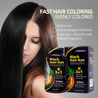 Shampooing Gel Colorant Rapide à l'Huile d'Argan en Gros pour Couvrir les Cheveux Gris et Blancs, Teinture Capillaire Noire à Base de Plantes en Sachet