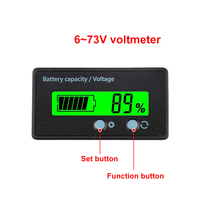 Voltmètre étanche compteur d'électricité batterie au plomb véhicule électrique batterie au Lithium ternaire 6-73V écran LCD