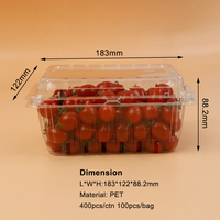 500g récipient alimentaire en plastique personnalisé fruits frais Punnet avec fraises bleuets cerises tomates boîte à clapet