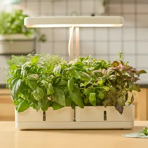 J. Y C. Minigarden Gelulv hidropónico inteligente jardín interior, haga clic en y crecer inteligente jardín planta máquina de crecimiento