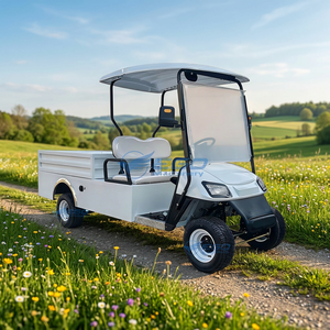 Voiturette de golf électrique haute performance 2 places - Chariots utilitaires électriques avec caisses de chargement - Kart de golf - Product Image 1