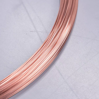 Ressort extra dur de vente chaude dur pour le ressort de précision et les contacts électriques C5191 fil de cuivre en bronze phosphoreux