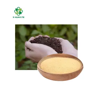 X-humate Foliar Fertilizer high quality Complex Agent Amino Acid hot sale 80% Compound Powder