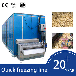 Congélateur tunnel IQF industriel : <span class=keywords><strong>Prix</strong></span> et congélation pour frites, volailles, <span class=keywords><strong>poulet</strong></span> et fruits <span class=keywords><strong>de</strong></span> mer (300-600 <span class=keywords><strong>kg</strong></span>/h) - Product Image 5